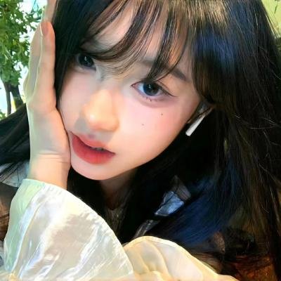 与凤飞